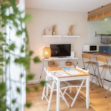 Apartmán El Estudio De La Rosa