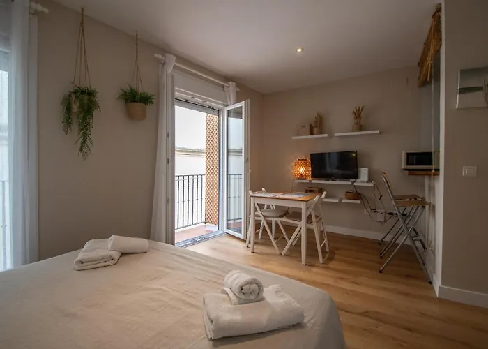 El Estudio De La Rosa Apartment